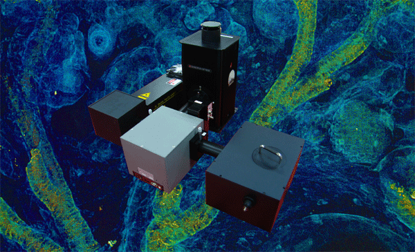 PLEMapping���l(f��)���V����