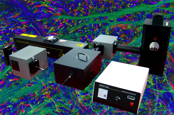 PLE Mapping���l(f��)���V����