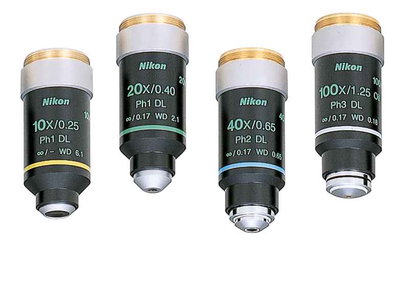 Nikon�῵���R