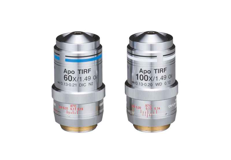 Nikon�῵���R