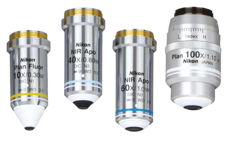 Nikon�῵���R