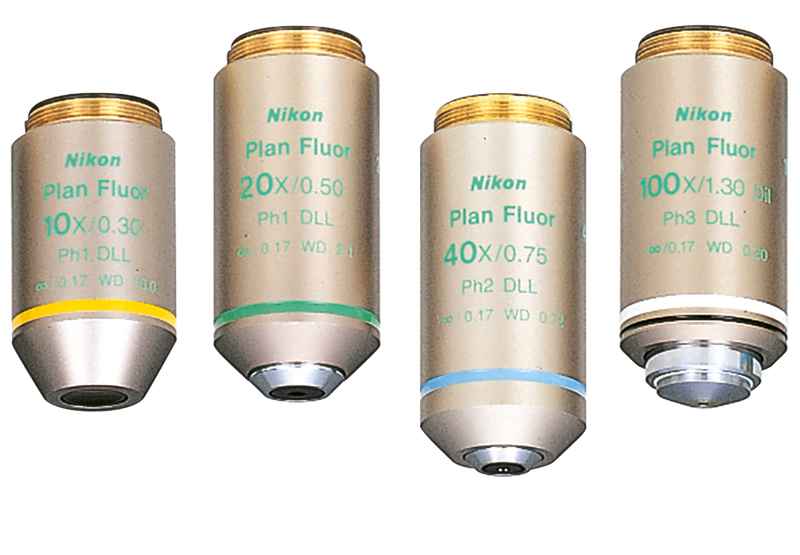 Nikon�῵���R