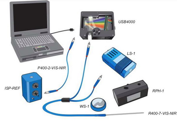 �����ʺͷ����ɫ�y��