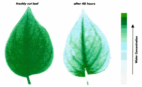 ̫��Ɲ���~��ˮ��