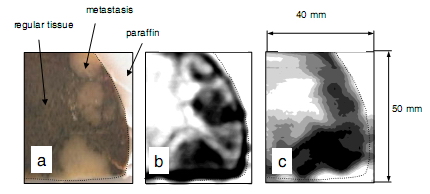 ̫��Ɲ���K����