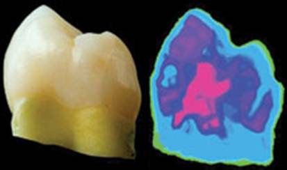 ̫��Ɲ���X����