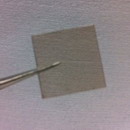 ���S�{�ײ��Ͻ^���w